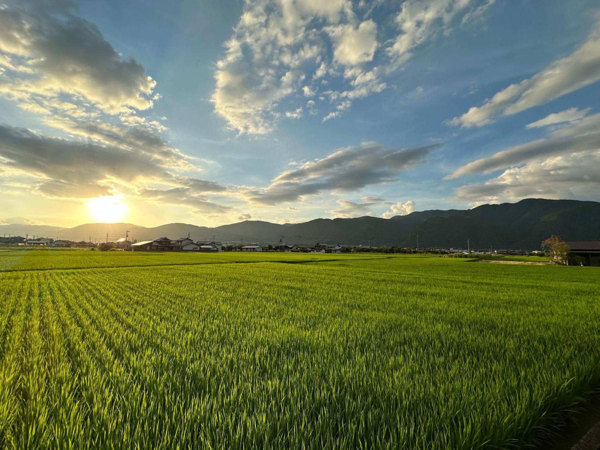 にし阿波ねすと Higashimiyoshi Exterior foto